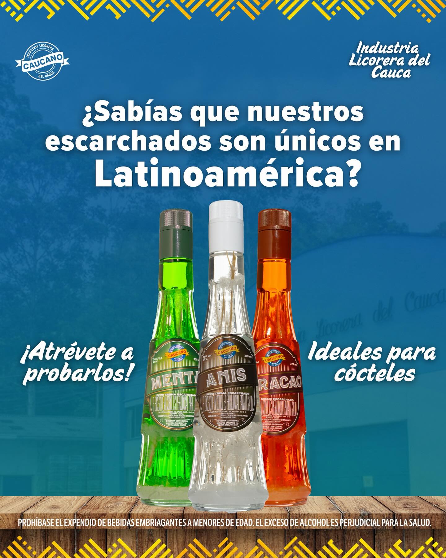                                              ¡Sabor y experiencia en cada brindis!
                                    